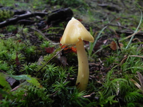 e0352220_14213169.jpg