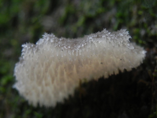e0352220_14241314.jpg