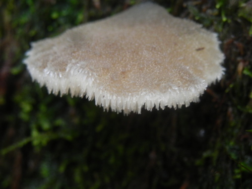 e0352220_14252946.jpg