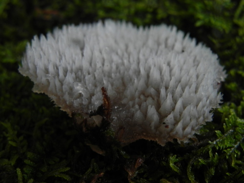 e0352220_14260336.jpg