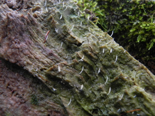 e0352220_14333251.jpg