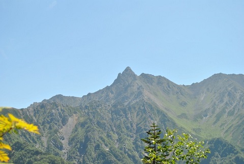 f0000521_5205454.jpg