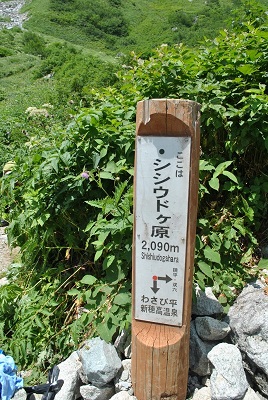 f0000521_5254693.jpg