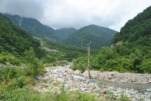 f0000521_535153.jpg