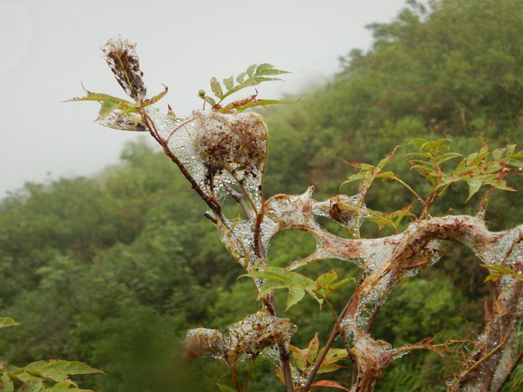 f0118332_012428.jpg