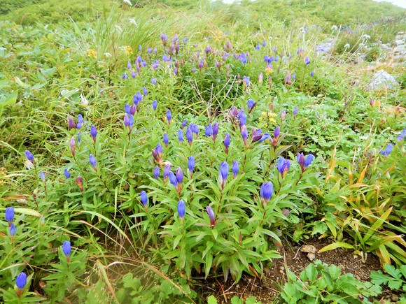 f0118332_04273.jpg