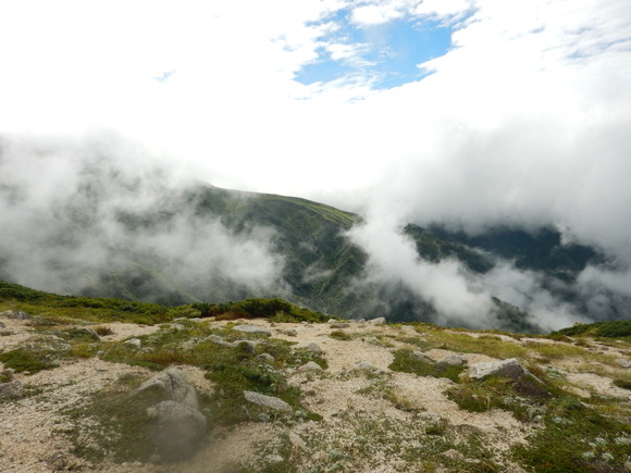f0118332_084768.jpg