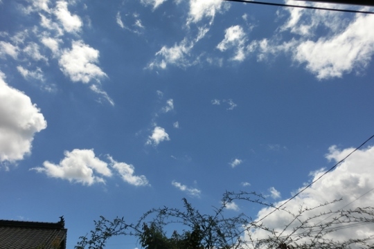 c0328559_16211535.jpg