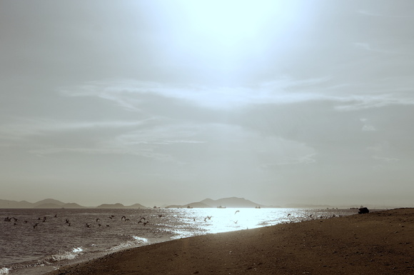 e0066861_4551278.jpg