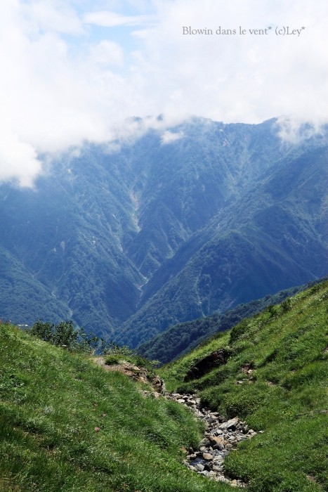 f0251765_6365187.jpg