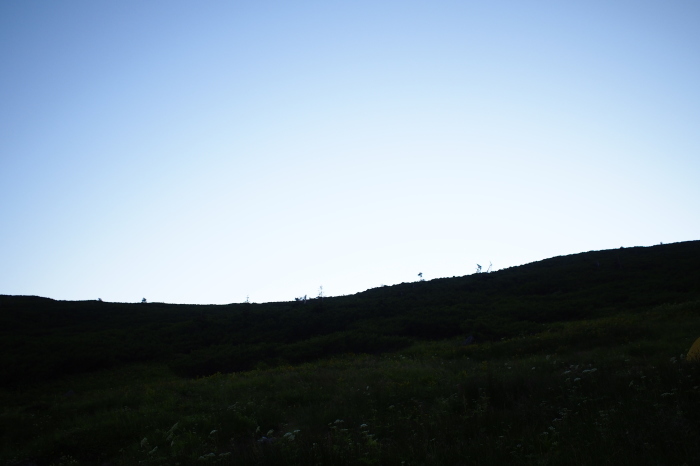 e0307372_10533380.jpg