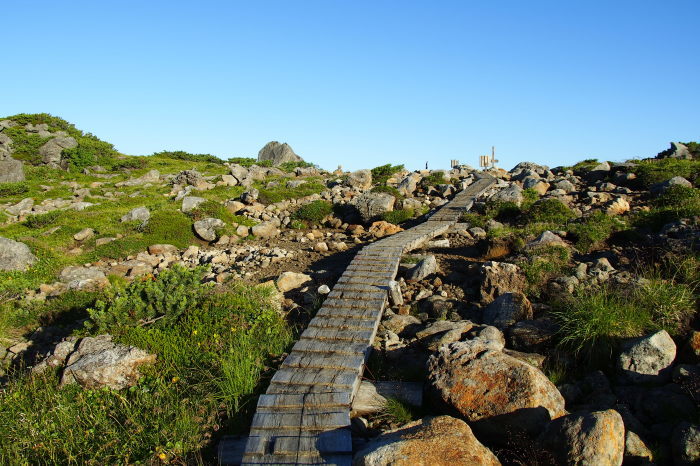 e0307372_10581675.jpg