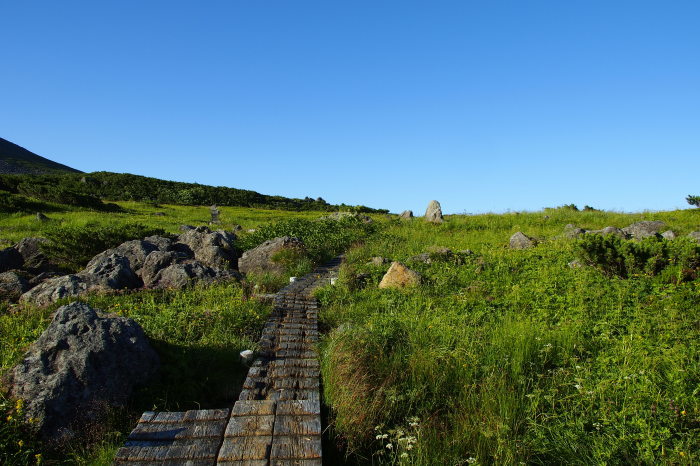 e0307372_12110695.jpg