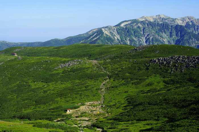 e0307372_13595486.jpg