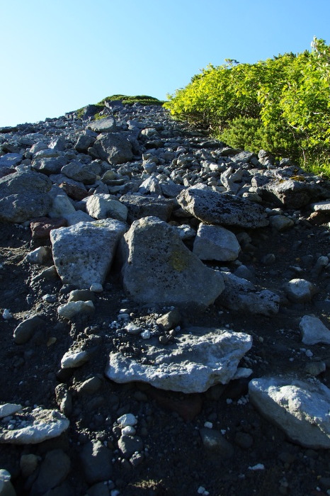 e0307372_14074316.jpg