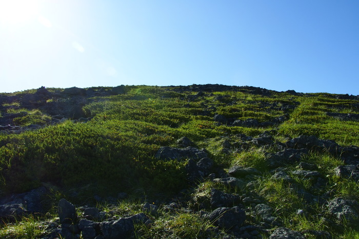 e0307372_14081581.jpg