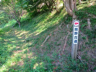 b0326483_18355188.jpg