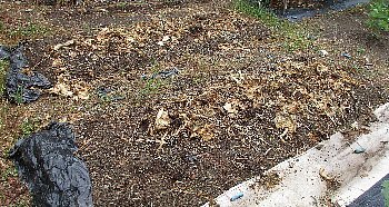 f0003283_13114091.jpg