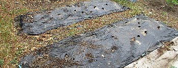 f0003283_13115846.jpg
