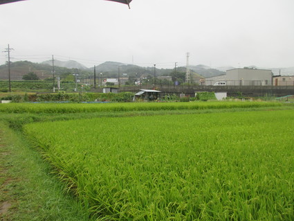 f0053885_20143392.jpg