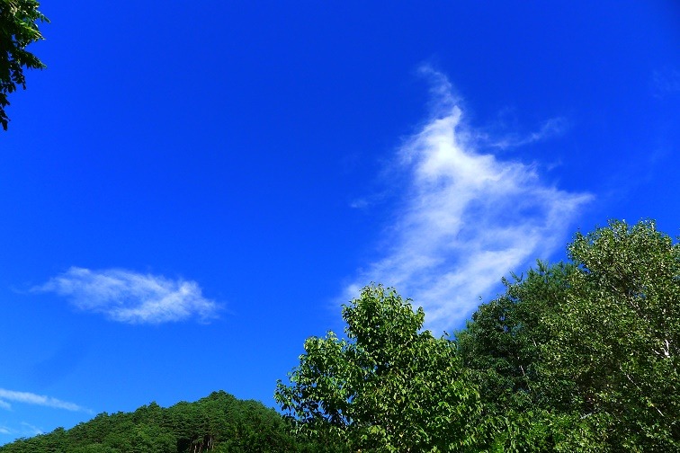 a0130586_16545081.jpg