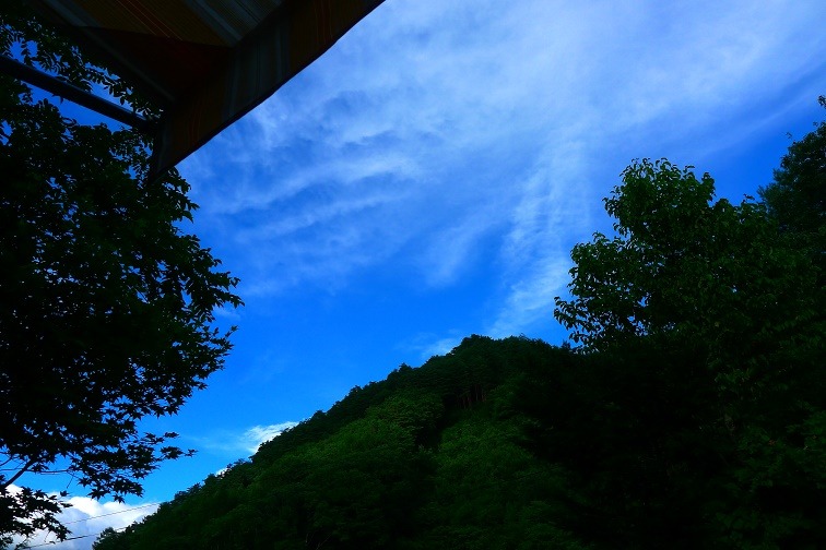 a0130586_1659235.jpg