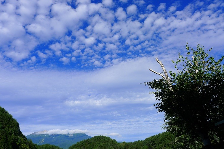 a0130586_8573881.jpg