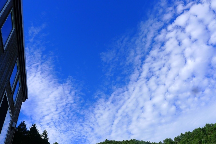 a0130586_902215.jpg