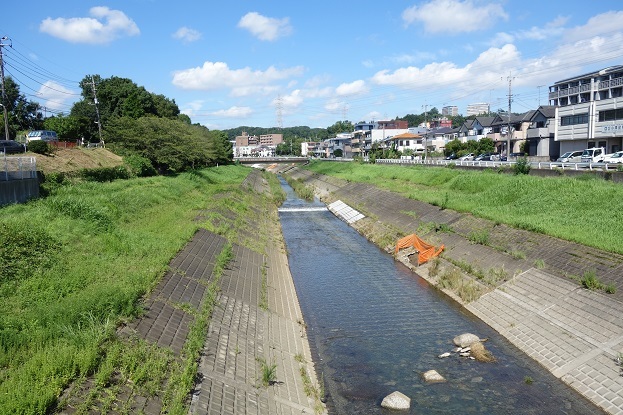 d0183387_11372277.jpg
