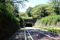 d0183387_21575201.jpg