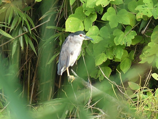 f0357487_21232176.jpg