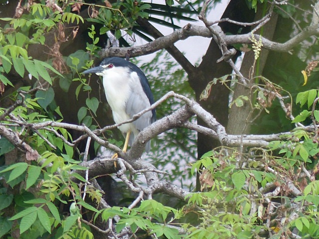 f0357487_21235362.jpg