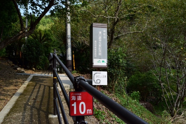f0111289_22520988.jpg