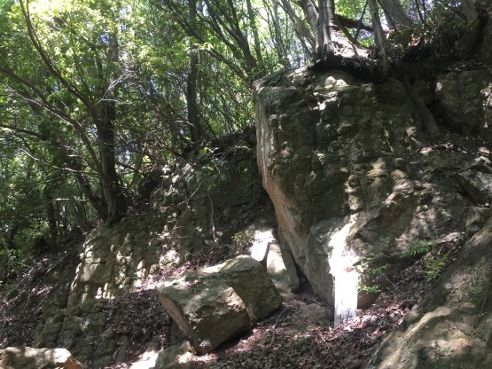 e0307890_14582432.jpg