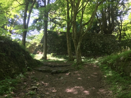 e0307890_18555025.jpg