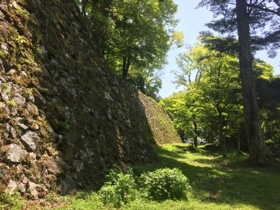 e0307890_19041580.jpg