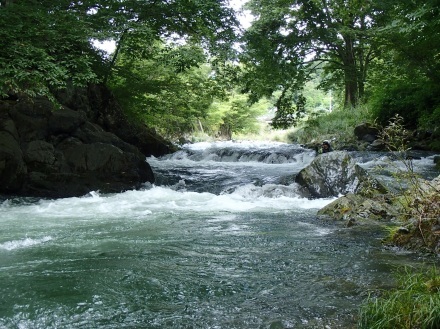 e0211293_07344097.jpg