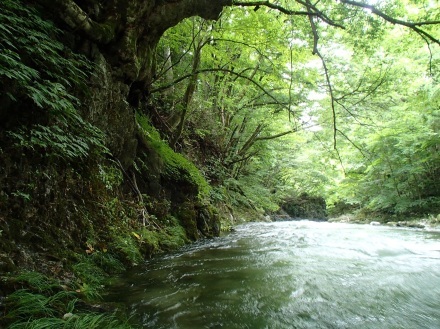 e0211293_07355284.jpg