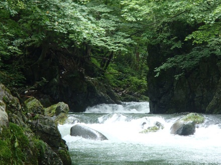 e0211293_07370166.jpg