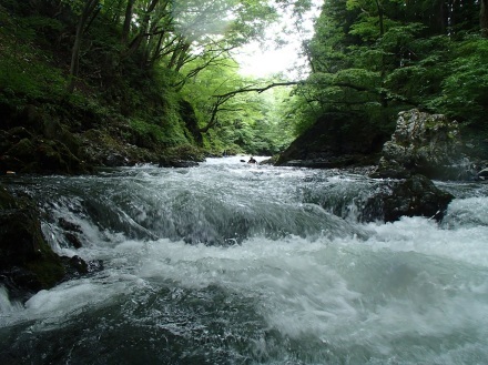 e0211293_07373937.jpg