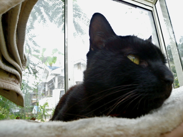 a0199297_20120850.jpg