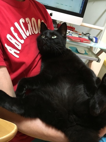 c0011300_23032126.jpeg