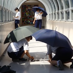 b0364601_23292674.jpg