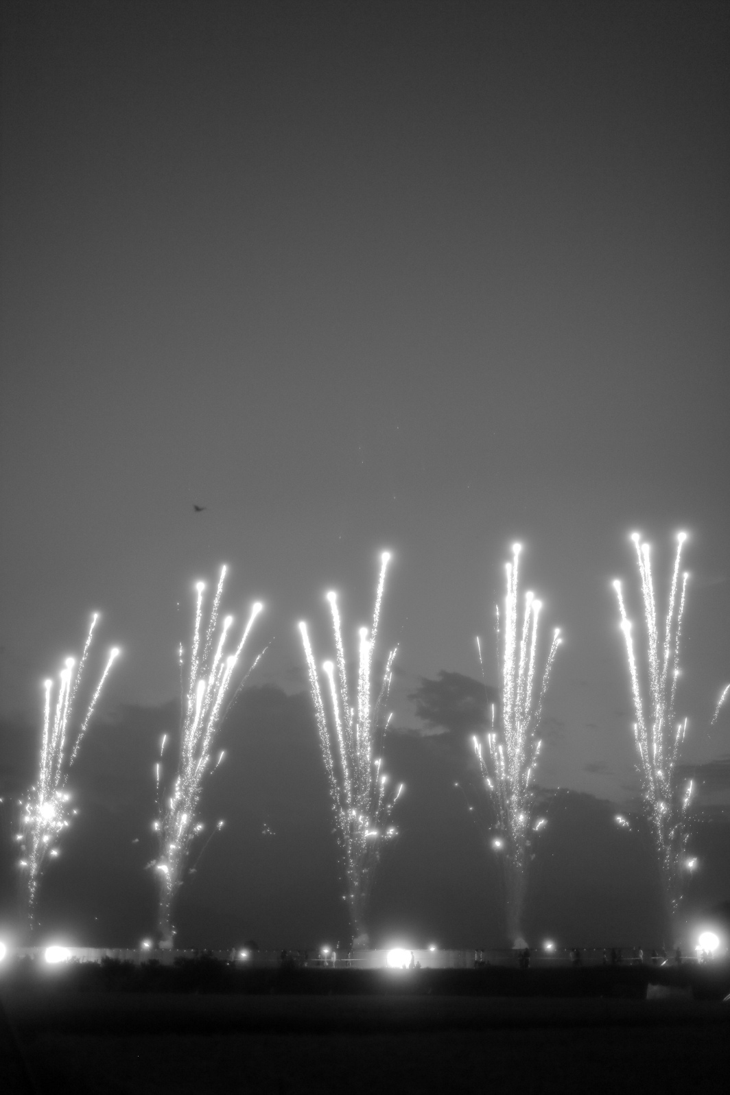 a0155104_00052887.jpg