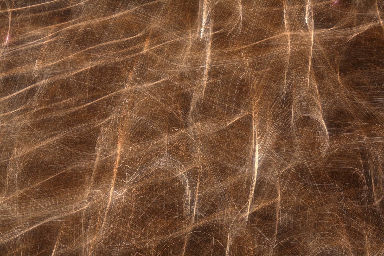 a0155104_22105549.jpg