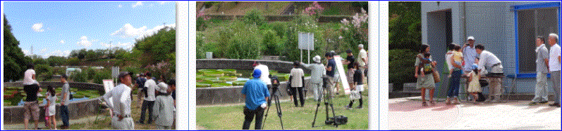 f0231709_17381545.gif