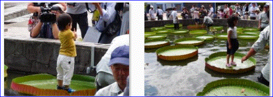 f0231709_17563845.gif