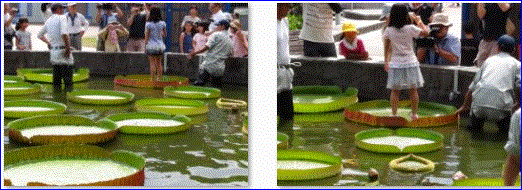 f0231709_18204468.gif