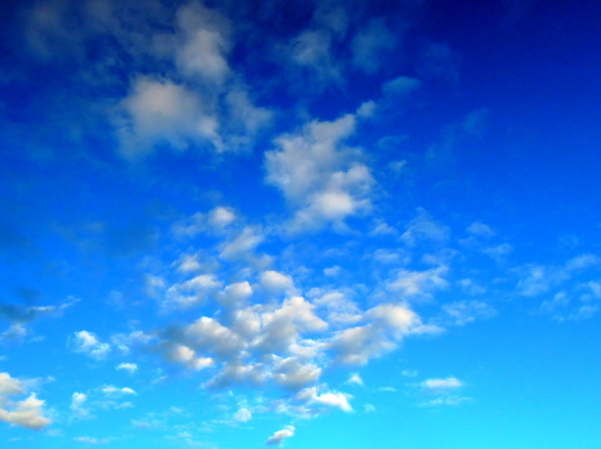 a0158613_13292121.jpg