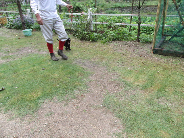 f0341616_16300440.jpg